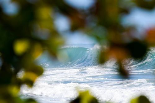 28379433 10155914485006839 4585667274664333171 n