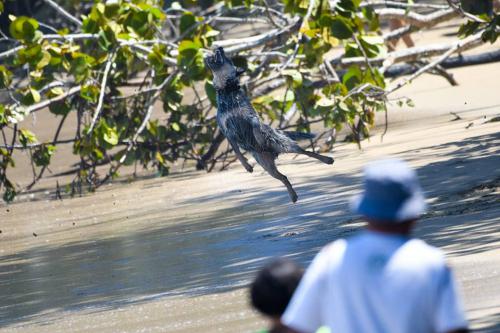 28379505 10155914487666839 9113256773216485484 n