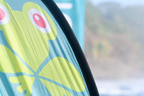 28379608 10155914482961839 8594920445079295499 n