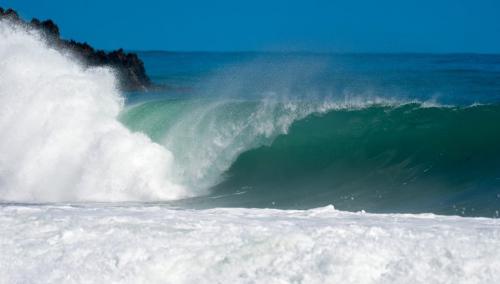 28379623 10155914484221839 4881624626109486663 n